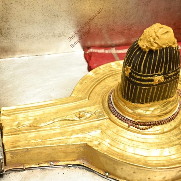 kashi vishwanath darshan