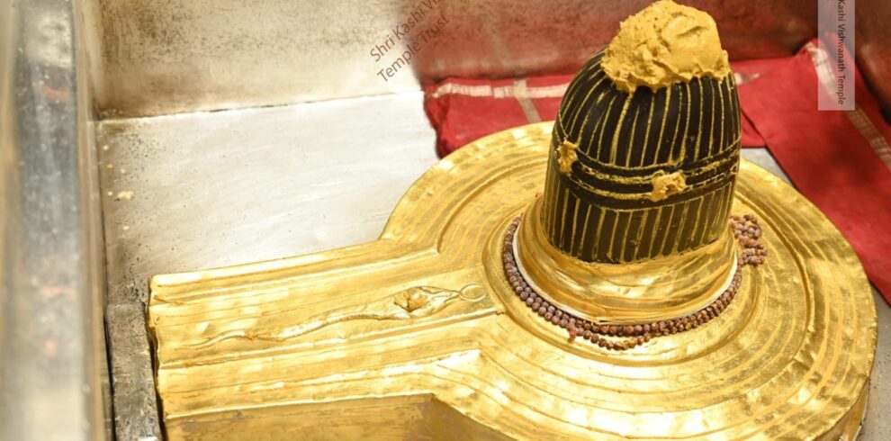 kashi vishwanath darshan