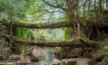 Assam and Meghalya Trip by Bharat Darshan Tours