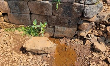 Panch Jyotirlinga Darshan with Shirdi and Shani Singhnapur
